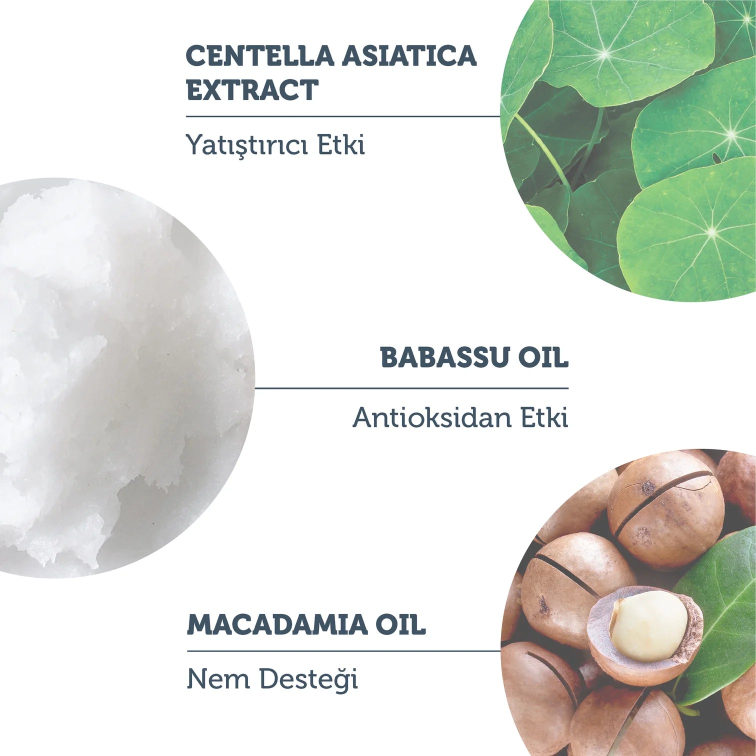 Hassas ve Kuru Ciltler İçin Nem ve Antioksidan İçerikli Temizleyici Balm 85 Gr