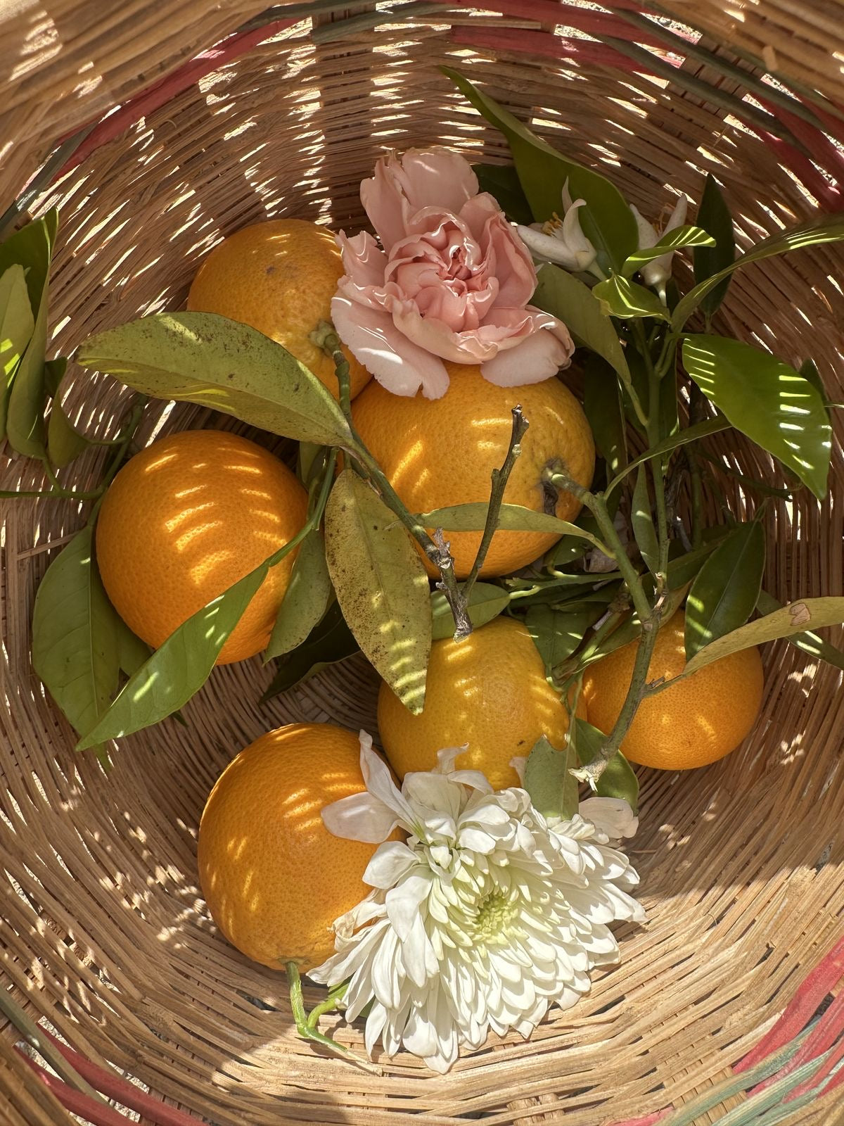 Bahar Detoksu Nedir? Cilt Bakım Rutini Nasıl Yenilenmeli?