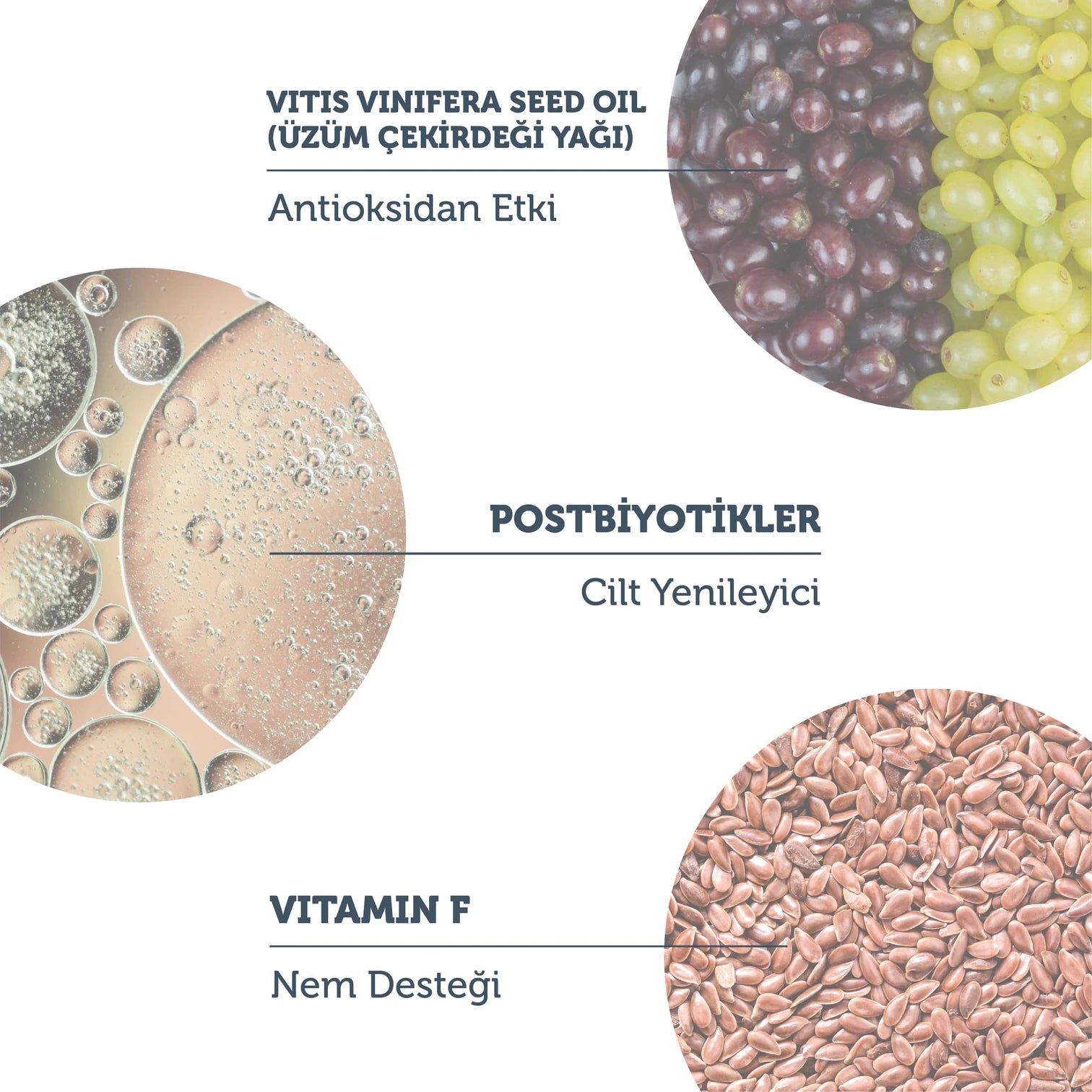 Postbiyotik İçerikli Arındırıcı Temizleme Yağı 150 Ml