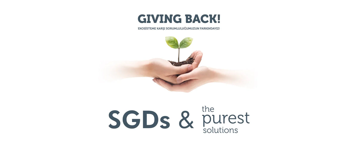 Giving Back! Ekosisteme karşı sorumluluğumuzun farkındayız — SDGs & The Purest Solutions